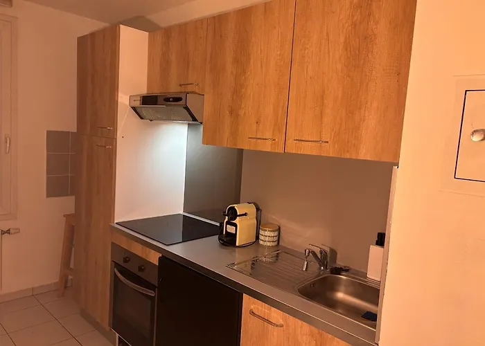 Du Chateau Appartement Pfastatt